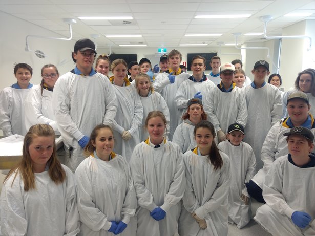 Gundagai High School 