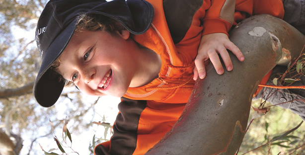 Wiradjuri preschool boy on tree branch