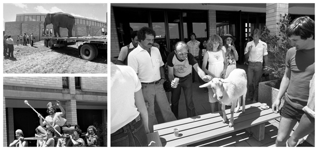 Picture of scavenger hunt items