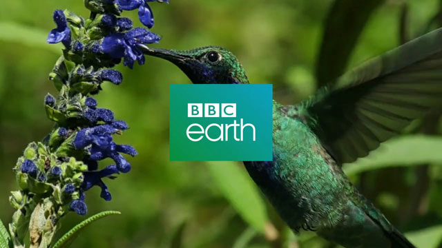 BBC Earth