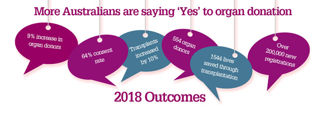 Organ donation facts