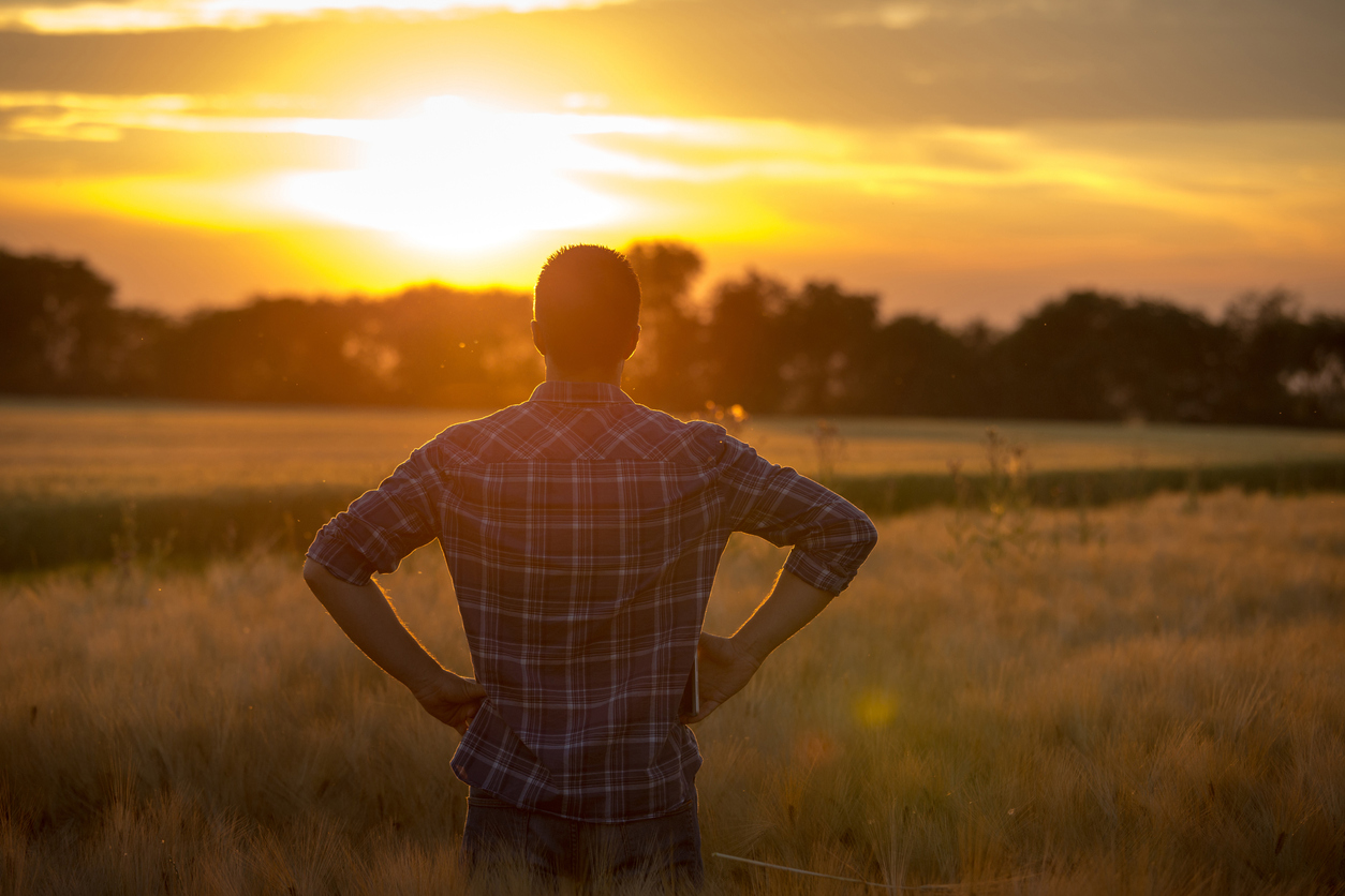 Farmer looking at land